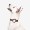 Luxury Spill-Proof Dog Collar Embedded with Healing Crystal
